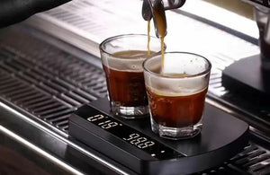 Brew Gear - Espresso