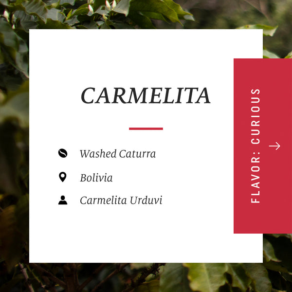Drop Coffees - Carmelita, Washed Caturra, Bolivia