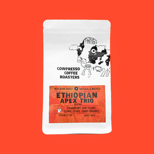 Cowpresso Coffee - Ethiopian Apex Trio