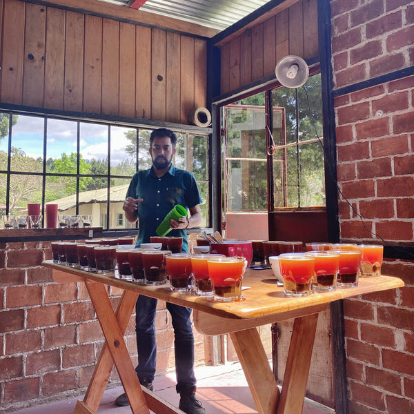 Drop Coffees - La Soledad, Washed Gesha, Guatemala