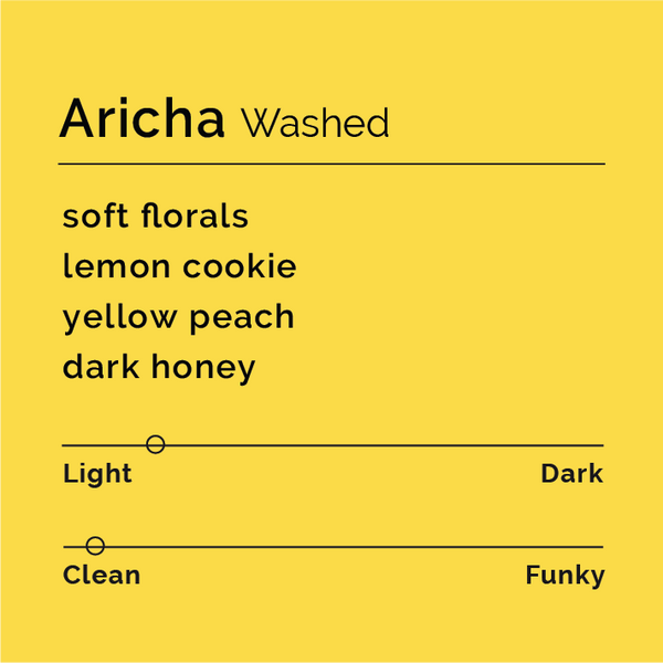 Black White Roasters - Aricha Washed
