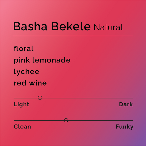Black White Roasters - Basha Bekele Natural