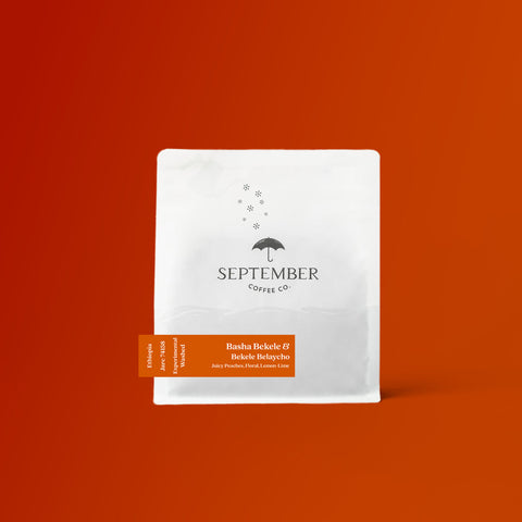 September Coffee -  Basha Bekele & Bekele Belaycho, Ethiopia