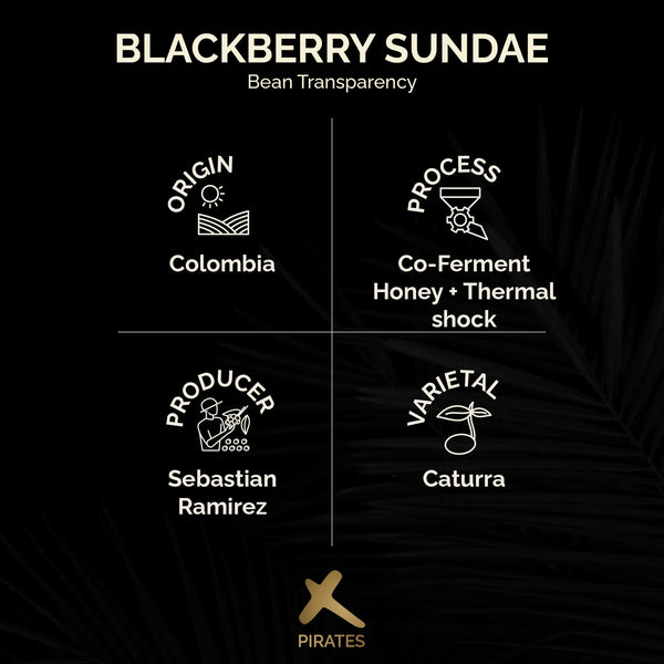 BLACKBERRY SUNDAE: Colombia Co-Ferment Honey + Thermal Shock