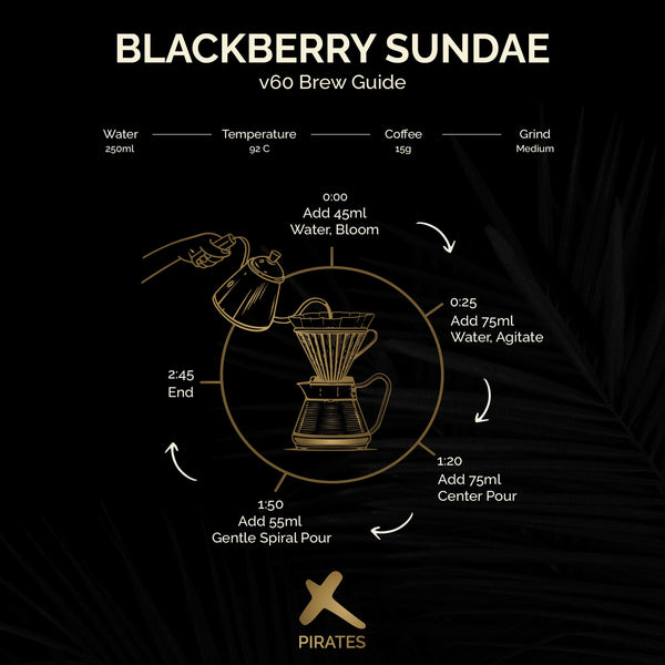 BLACKBERRY SUNDAE: Colombia Co-Ferment Honey + Thermal Shock