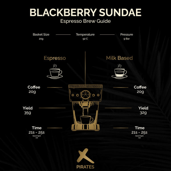 BLACKBERRY SUNDAE: Colombia Co-Ferment Honey + Thermal Shock