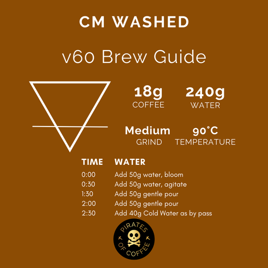 Pirates of Coffee - Rodrigo Sanchez Colombia CM Washed