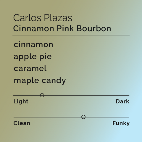 Black White Roasters - Carlos Plazas Cinnamon Pink Bourbon
