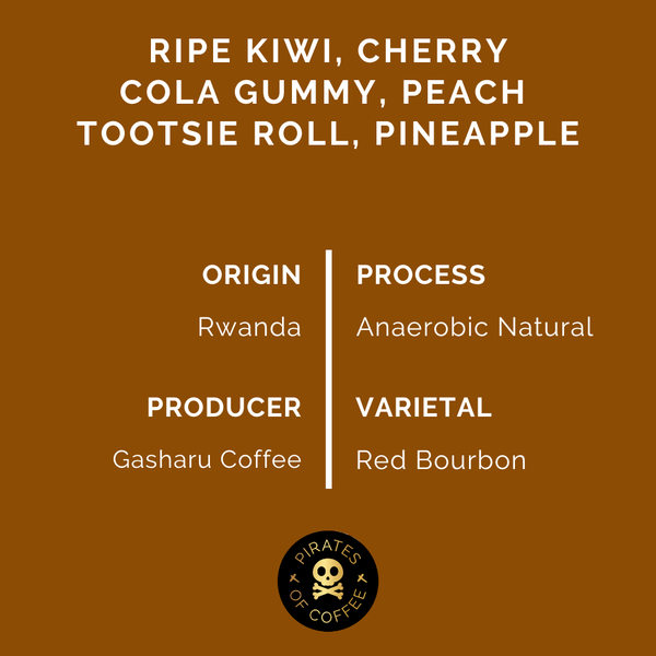 CLOUD CANDY: Rwanda Anaerobic Natural