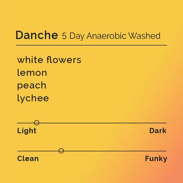 Black White Roasters - Danche 5 Day Anaerobic Washed