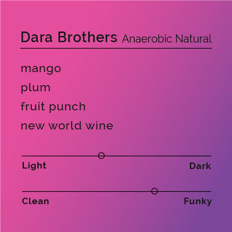 Black White Roasters - Dara Brothers Anaerobic Natural