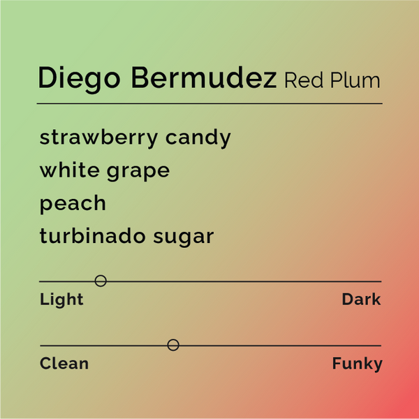 Black White Roasters - Diego Bermudez Red Plum
