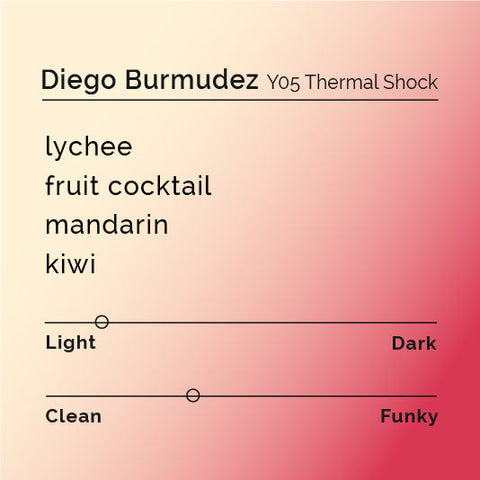 Black White Roasters - Diego Bermudez Y05 Thermal Shock