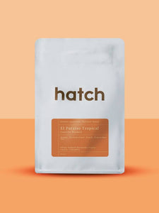 Hatch Coffee - [Filter/Espresso] Colombia El Paraiso Tropical Castillo