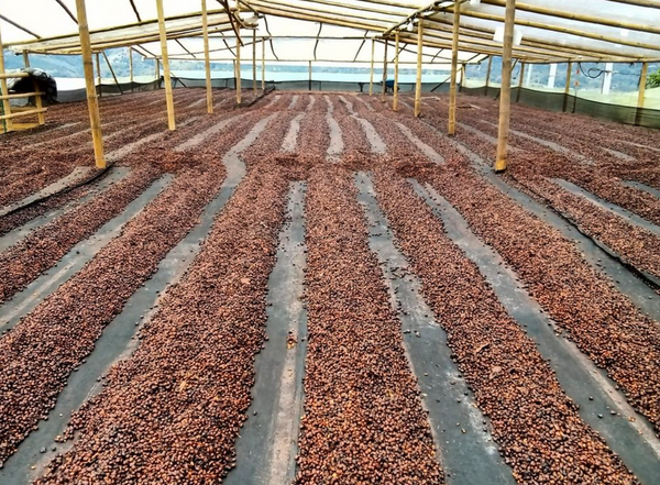 Pirates of Coffee - Razzleberry Espresso, Colombia Co-ferment Natural