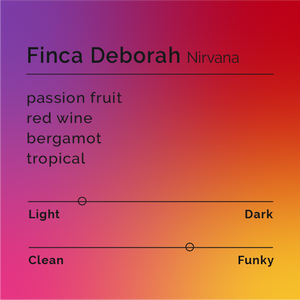 Black White Roasters - Finca Deborah Nirvana
