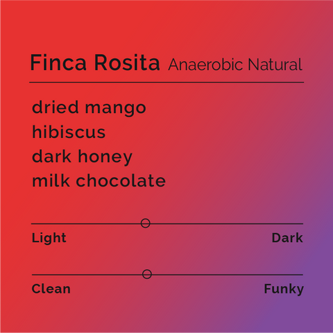 Black White Roasters - Finca Rosita, Anaerobic Natural