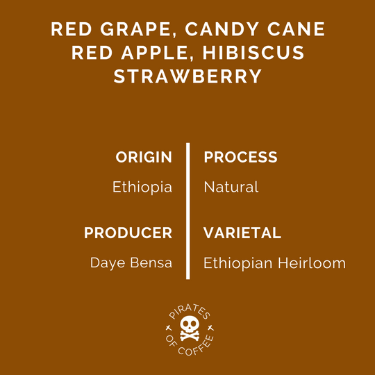 Pirates of Coffee - Fruit Bombe Espresso: Ethiopia Bombe Sidamo Natural