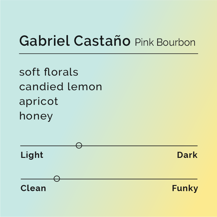 Black White Roasters - Gabriel Castaño Pink Bourbon