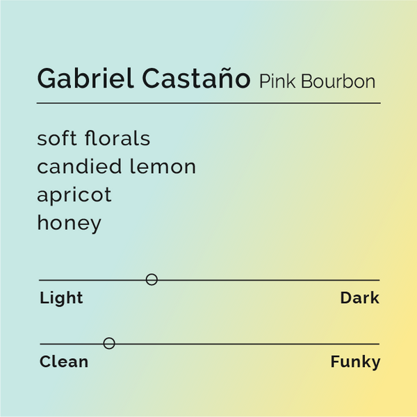 Black White Roasters - Gabriel Castaño Pink Bourbon