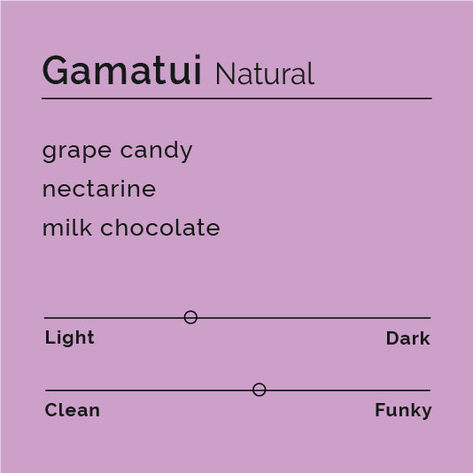 Black White Roasters - Gamatui Natural