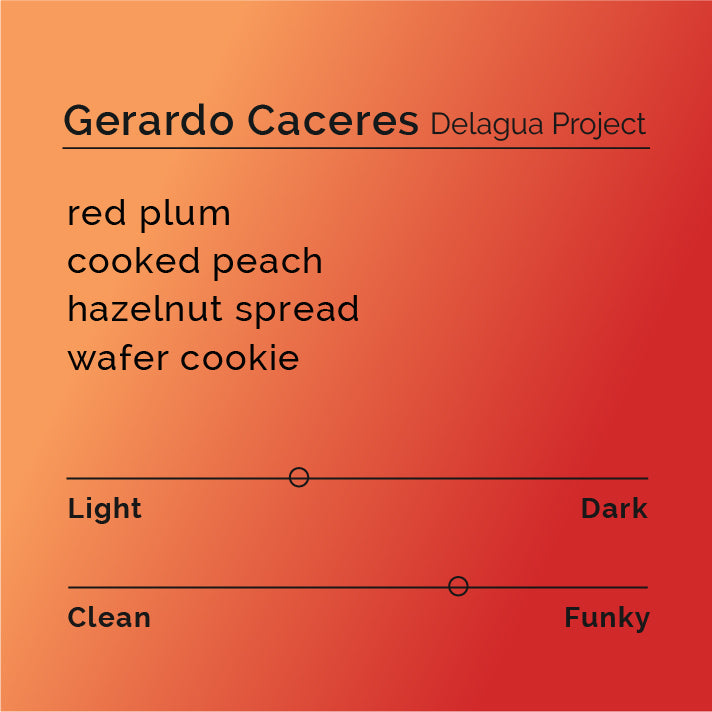 Black White Roasters - Gerardo Caceres, Delagua Project