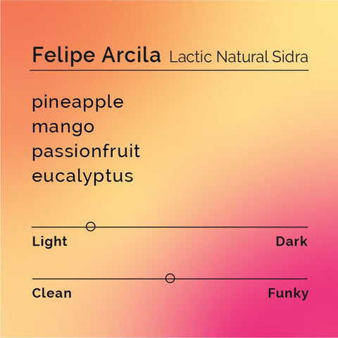 Black White Roasters - Felipe Arcila, Lactic Natural Sidra
