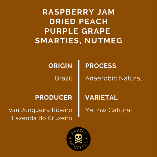 Pirates of Coffee - Jammy: Brazil Anaerobic Natural