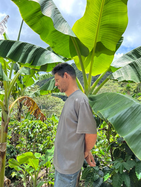 Roseline Coffee - Honduras Joel Guzman