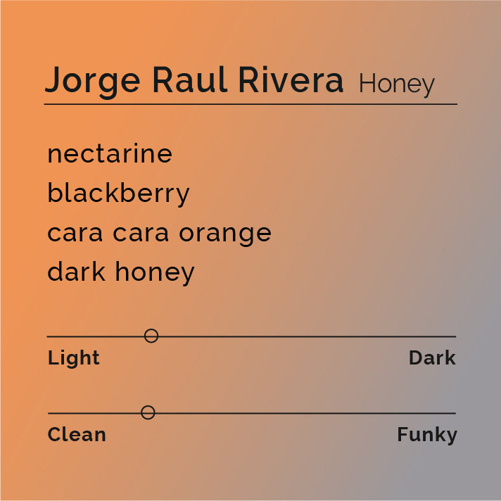 Black White Roasters - Jorge Raul Rivera, Pacamara Honey