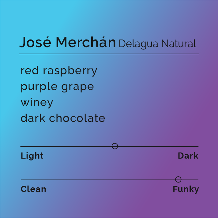 Black White Roasters - 
José Merchán Delagua Natural