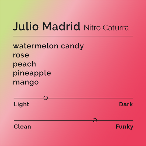 Black White Roasters - Julio Madrid, Nitro Caturra