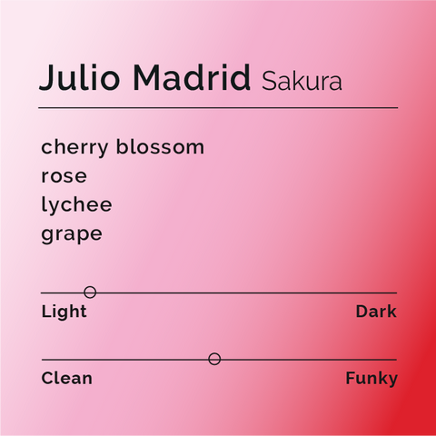 Black White Roasters - Julio Madrid, Sakura