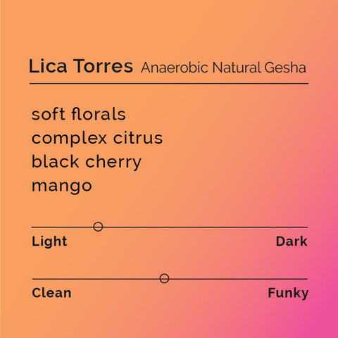 Black White Roasters - Lica Torres Anaerobic Natural Gesha