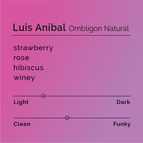 Black White Roasters - Luis Anibal - Ombligon Natural