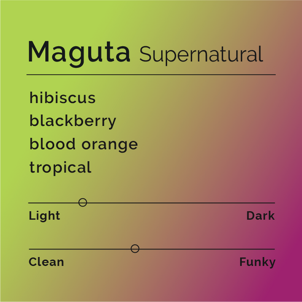 Black White Roasters - Maguta, Supernatural