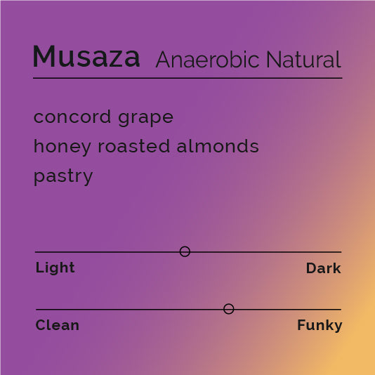 Black White Roasters - Musaza Anaerobic Natural