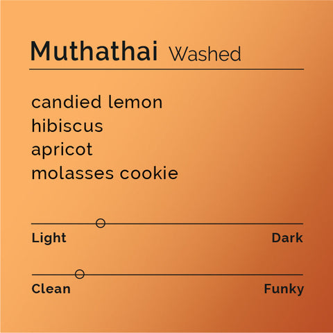 Black White Roasters - Muthathai Washed
