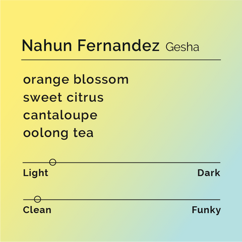 Black White Roasters - Nahun Fernandez, Gesha