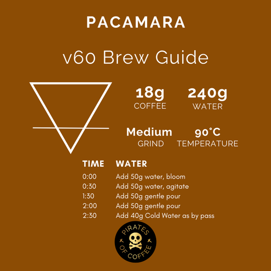 Pirates of Coffee - The Lost Treasures PACAMARA: Nicaragua Natural