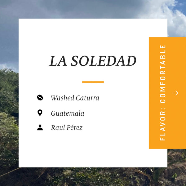Drop Coffees - La Soledad, Washed Caturra, Guatemala