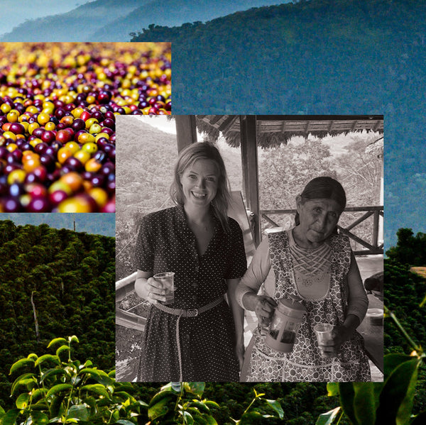 Drop Coffees - Carmelita, Honey Caturra, Bolivia