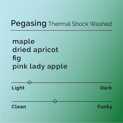 Black White Roasters - Pegasing, Thermal Shock Washed
