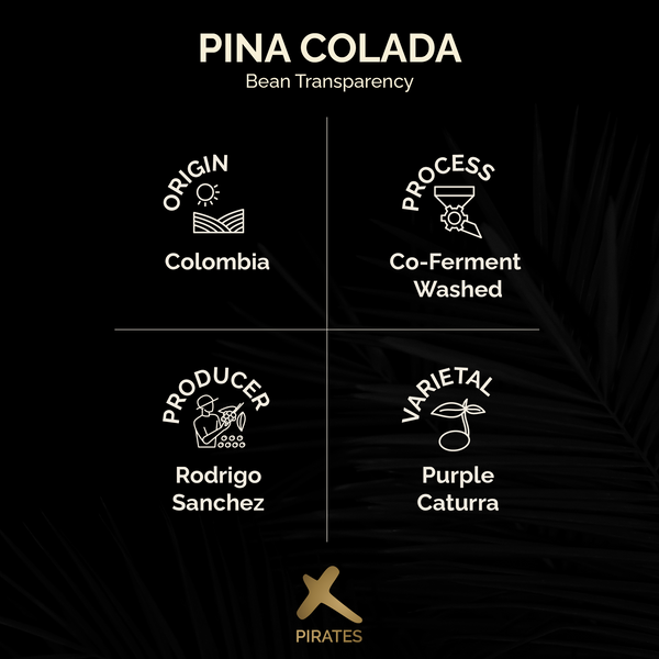 PIÑA COLADA: Colombia Co-Ferment Washed