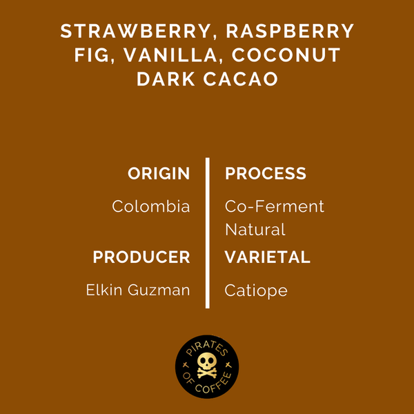 Pirates of Coffee - Razzleberry Espresso, Colombia Co-ferment Natural