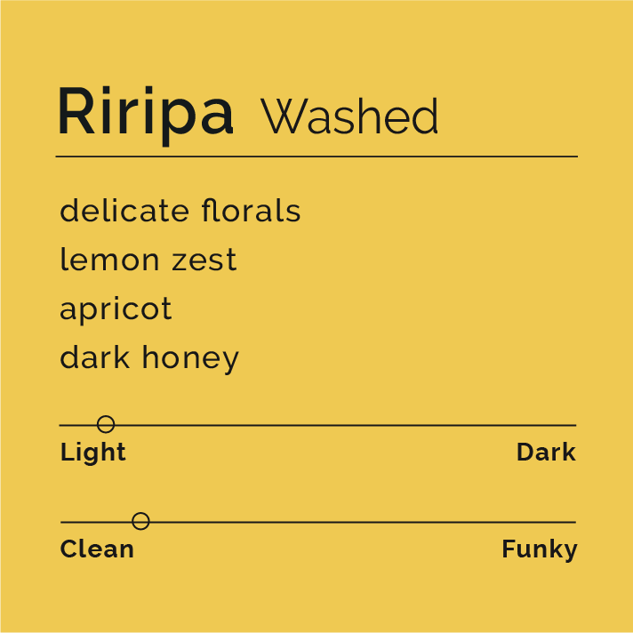 Black White Roasters - Riripa Washed