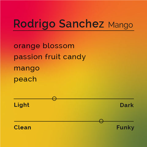 Black White Roasters - Rodrigo Sanchez Mango