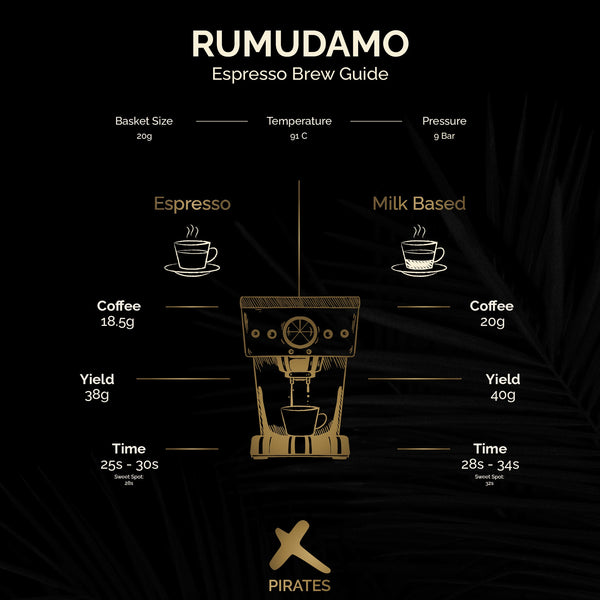 RUMUDAMO ANAEROBIC NATURAL: Sidama Ethiopia