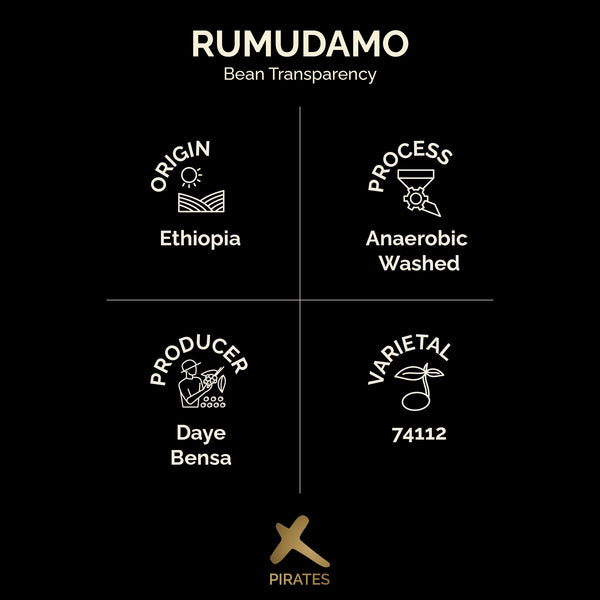 RUMUDAMO ANAEROBIC WASHED: Sidama Ethiopia