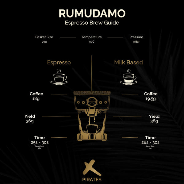 RUMUDAMO ANAEROBIC WASHED: Sidama Ethiopia